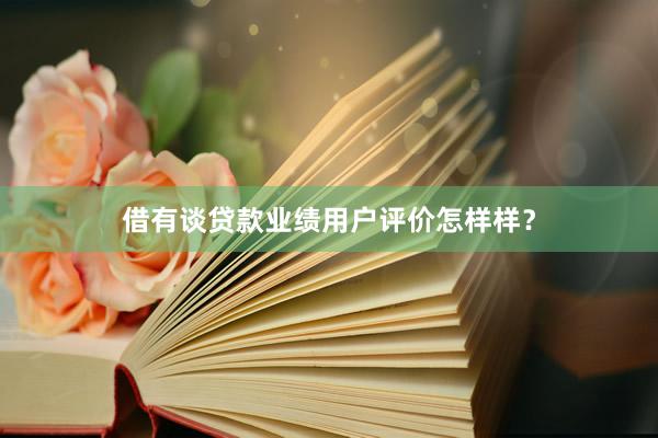 借有谈贷款业绩用户评价怎样样？