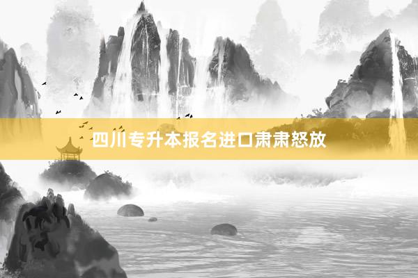 四川专升本报名进口肃肃怒放