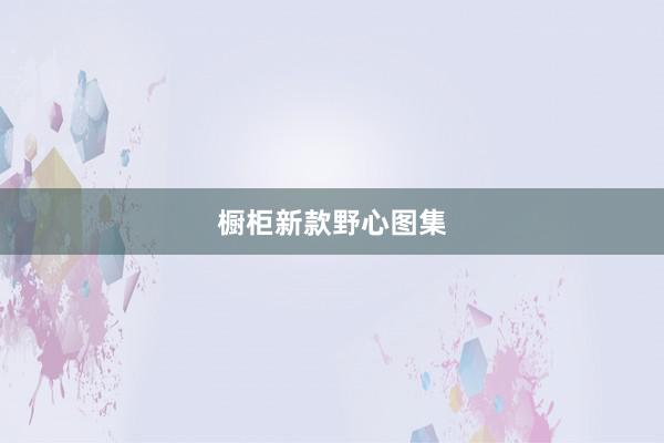 橱柜新款野心图集