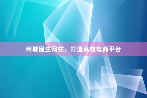 商城诞生网站，打造高效电商平台