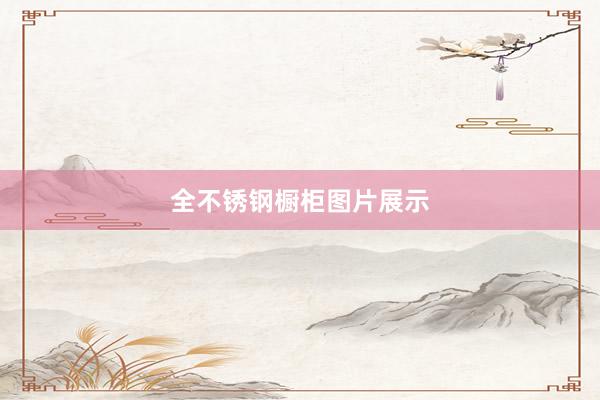 全不锈钢橱柜图片展示