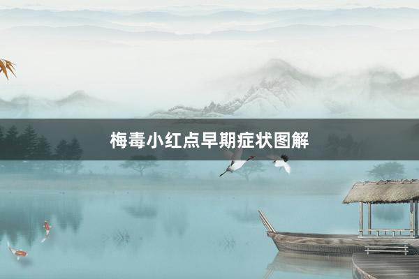 梅毒小红点早期症状图解