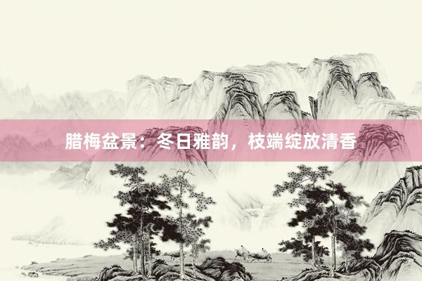 腊梅盆景：冬日雅韵，枝端绽放清香