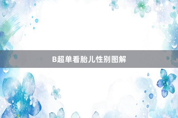 B超单看胎儿性别图解